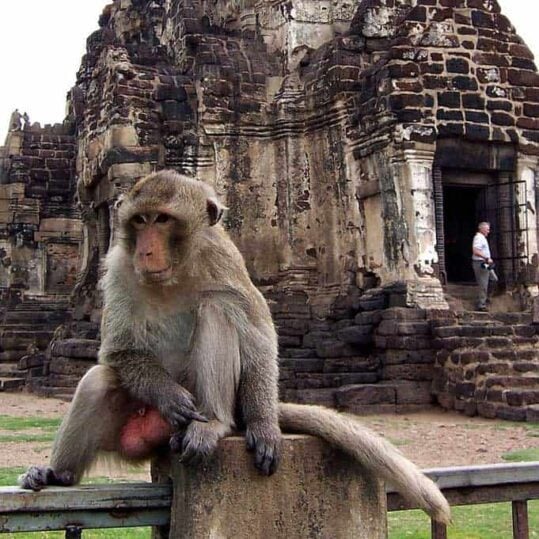 excursion lopburi guide francophone